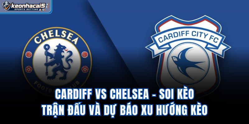 Cardiff Vs Chelsea - Soi Kèo Trận Đấu Và Dự Báo Xu Hướng Kèo