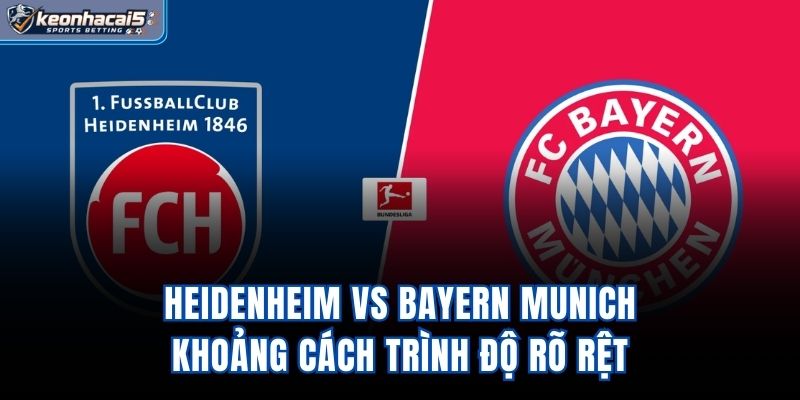 Heidenheim vs Bayern Munich - Khoảng Cách Trình Độ Rõ Rệt