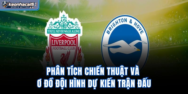 Phân tích chiến thuật và sơ đồ đội hình dự kiến trận đấu